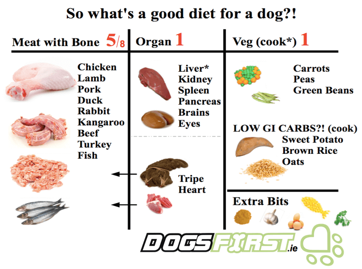 Homemade Meat Based Diet For Dogs