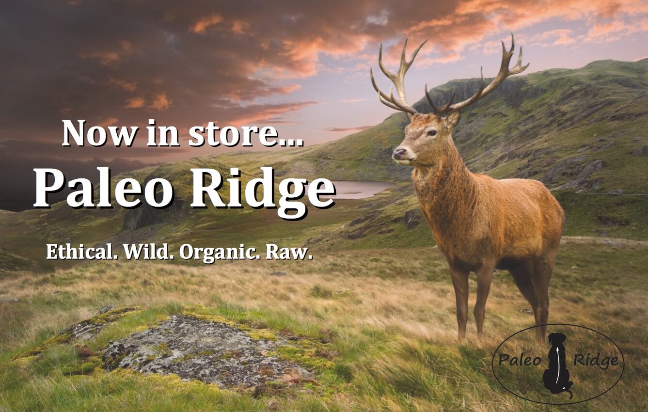 A Quick 10min Intro to Raw Dog Food! Dogs First