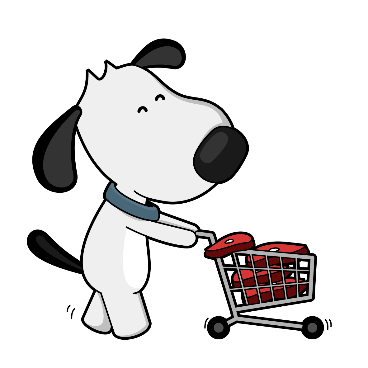 Kidney Failure In Dogs Part 3 The Natural Solution Dogs First