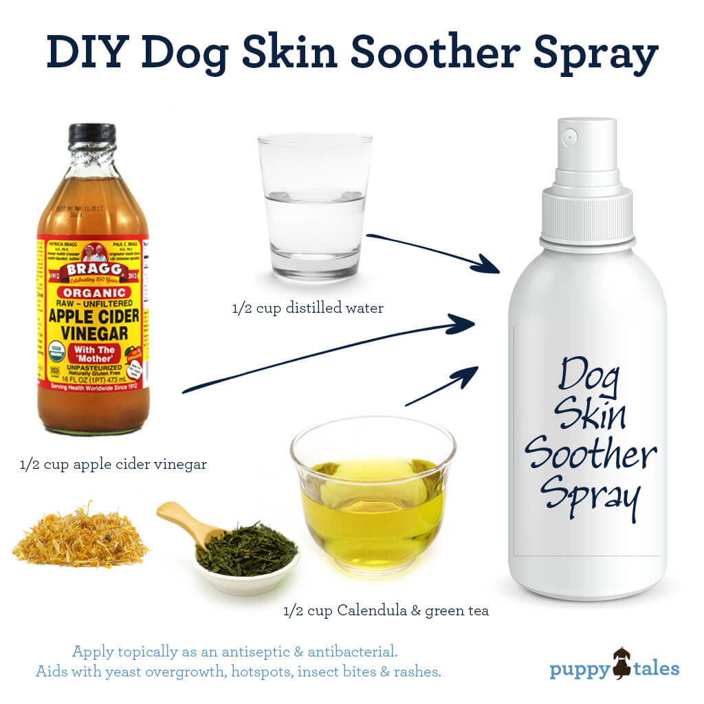 homemade anti-itch spay for dogs diagram