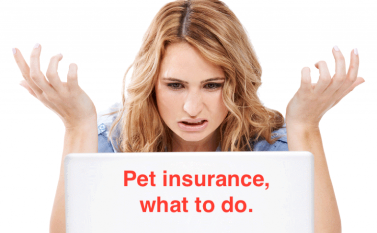 which pet insurance
