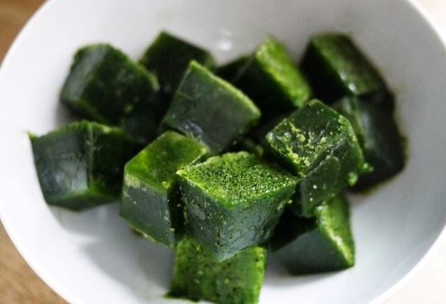 small nettle ice cubes for dogs