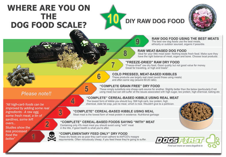 DOG-FOOD-SCALE-INFOGRAPHIC_