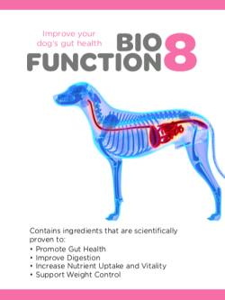 BioFunction8 for gut health in dogs