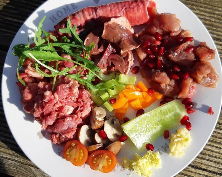 beautiful plate of raw dog food ingredients