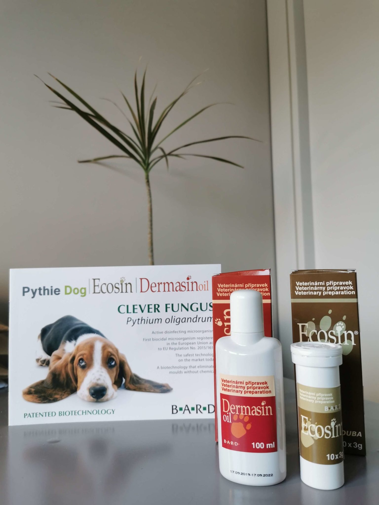 New natural solution for stubborn yeast issues in dogs... - Dogs First - Natural Treatments For Yeast Sensitive Dogs