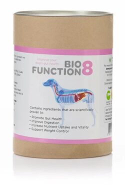 BioFunction8, a natural solution for gut issues in dogs
