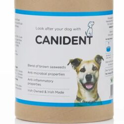 Canident natural tooth cleaner for dogs