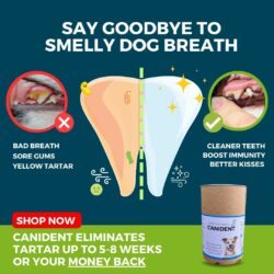 Canident natural tartar remover for dogs