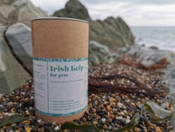 Irish kelp for dogs