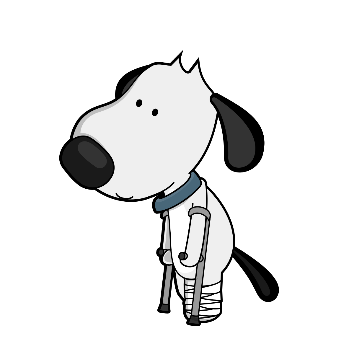 How Is A Torn Acl Diagnosed In Dogs