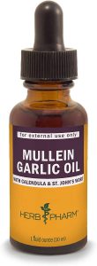 garlic oil for ear infections in dogs