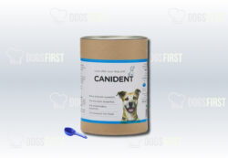 Canident for tartar control in dogs