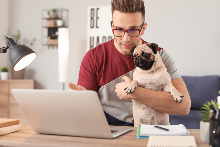 Dog Advice & Raw Feeding Online Consultation Dogs First