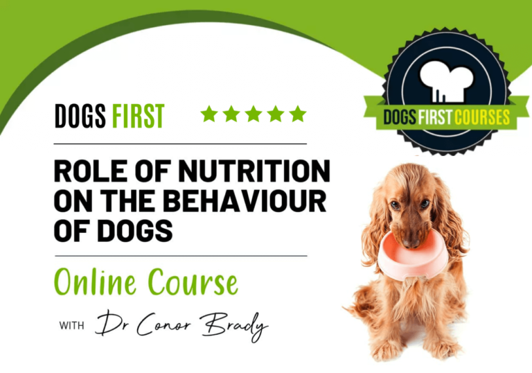 Role Of Nutrition on the Behaviour of Dogs