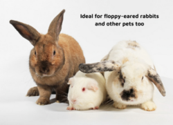 Ear care for rabbits