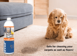 Floor carpet cleaner